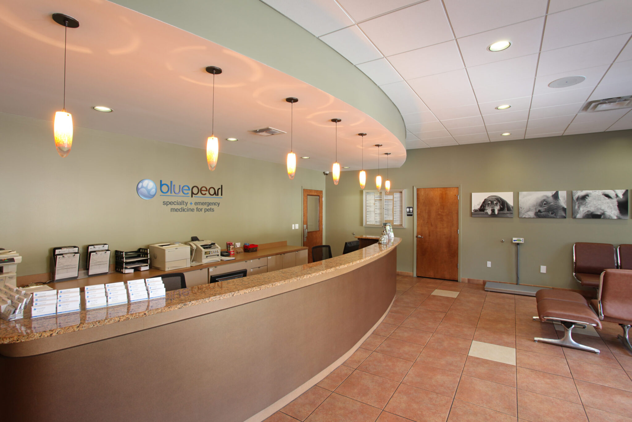 Tampa Veterinary Hospital Precise Construction