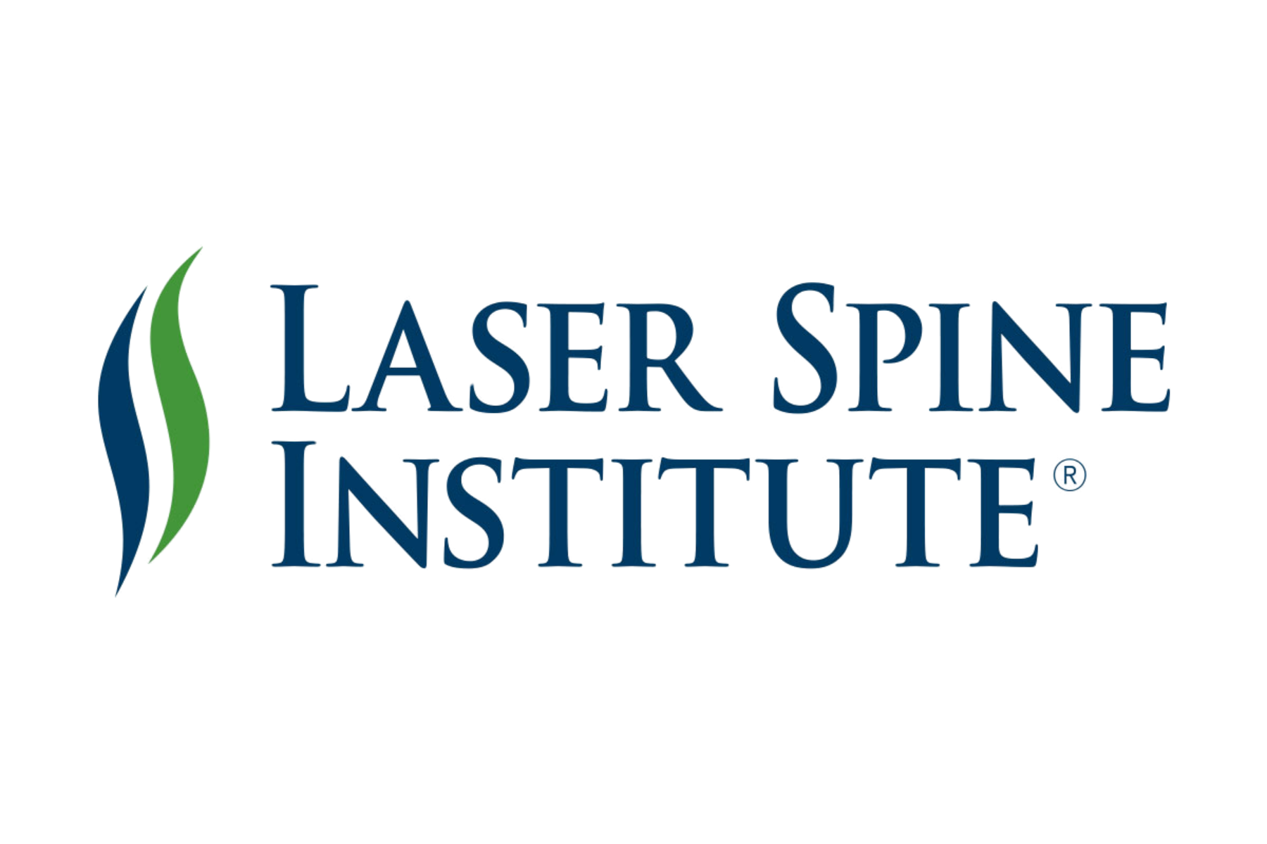 LSI Logo